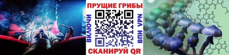 Купить закладки  Оханск  Псилоцибиновые грибы MAGIC MUSHROOMS 
